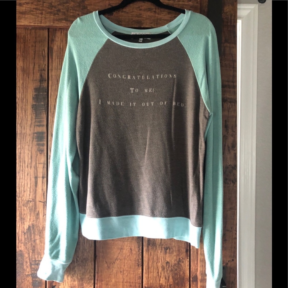 Wildfox Congrats to Me Baggy Beach Jumper in Aqua Blue and Gray Size Large